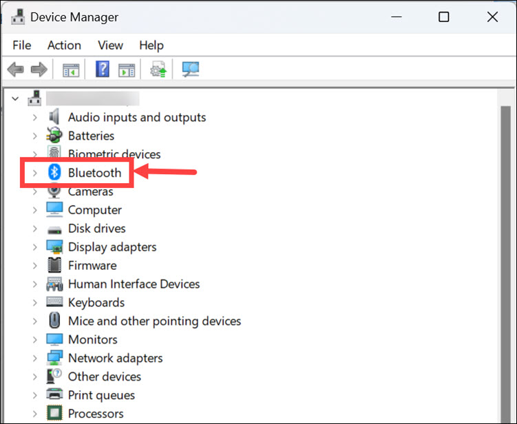 bluetooth section device manager