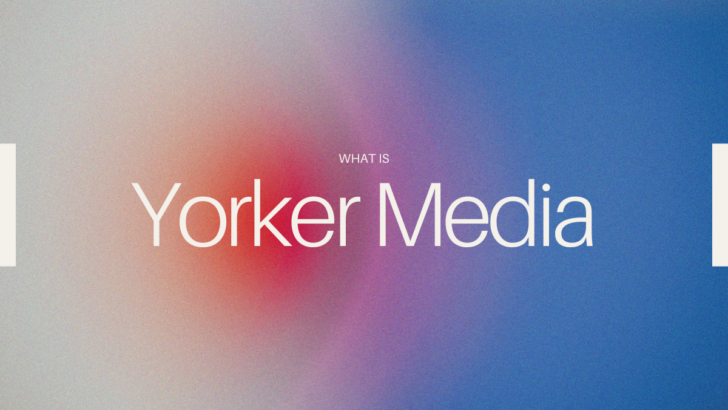 What is Yorker Media?