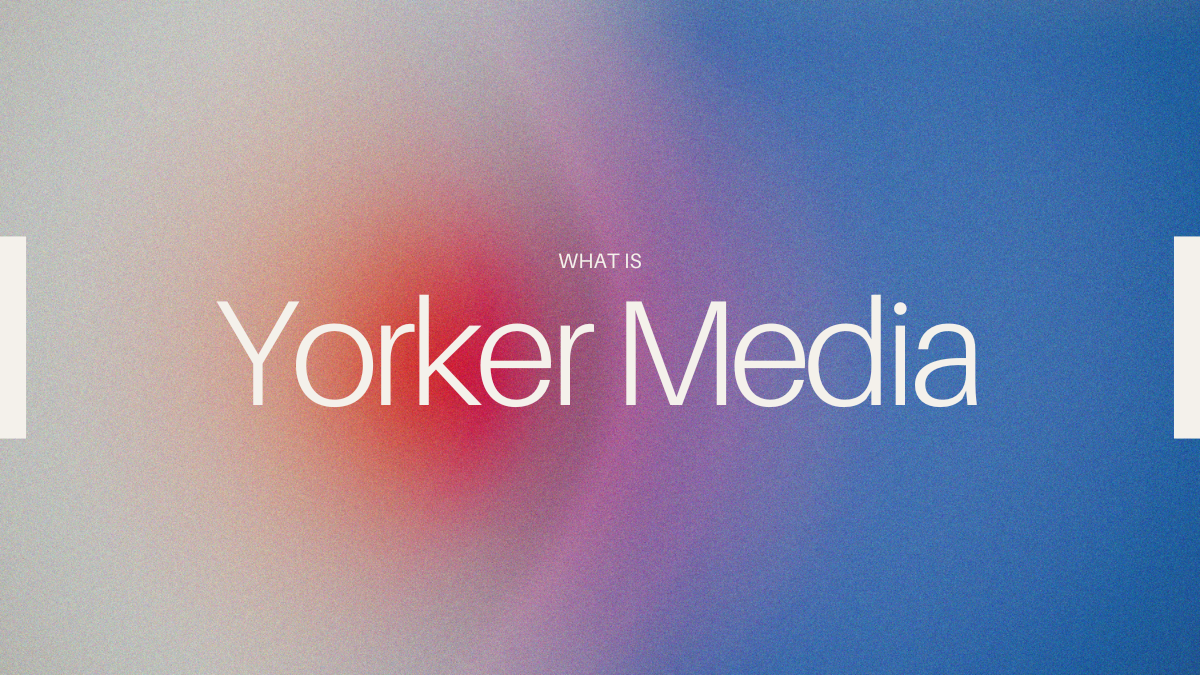 What is Yorker Media?